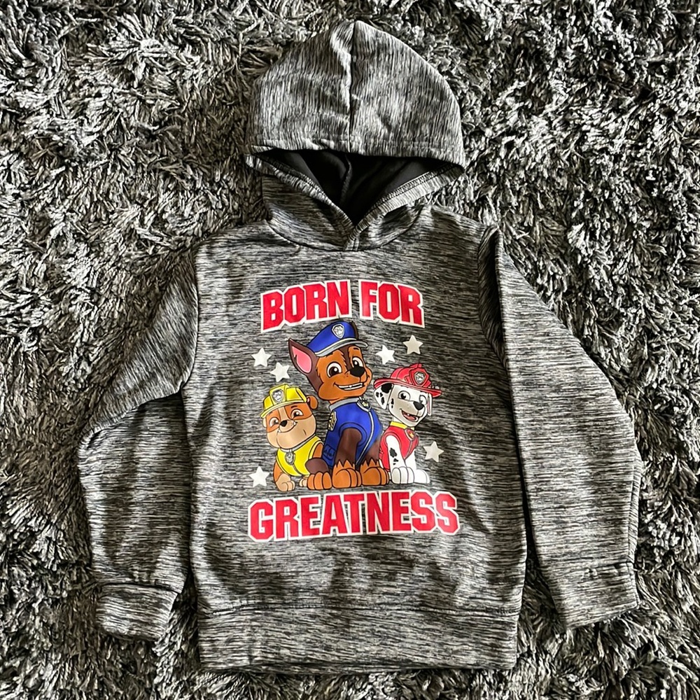 Boys Paw Patrol Hoodie